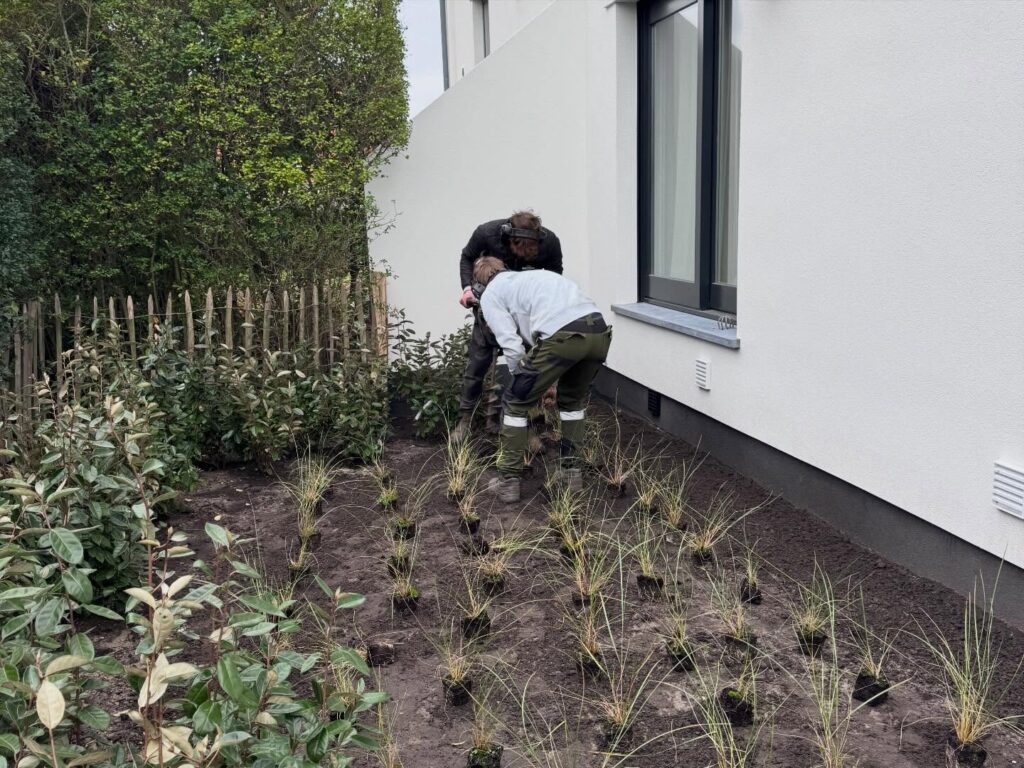 Tuinrenovatie: natuurlijke tuin laten aanleggen door Tuinen Cottyn.