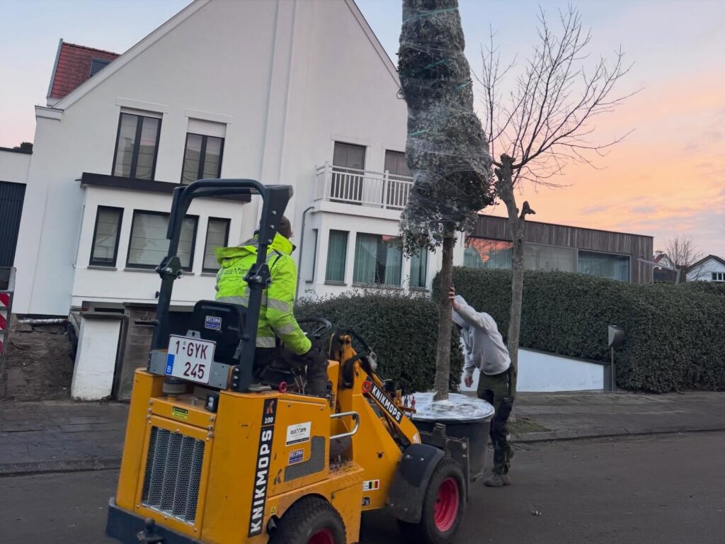 Tuinrenovatie: natuurlijke tuin laten aanleggen door Tuinen Cottyn.