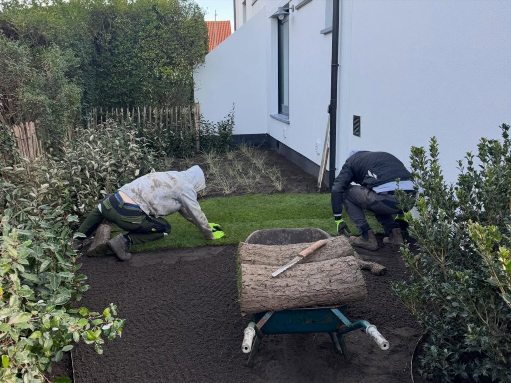 Tuinrenovatie: natuurlijke tuin laten aanleggen door Tuinen Cottyn.